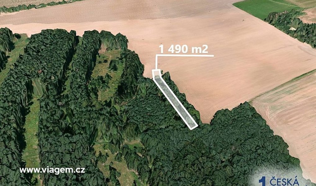 Prodej lesa 1 490 m², Blížejov – náhled fotky 2
