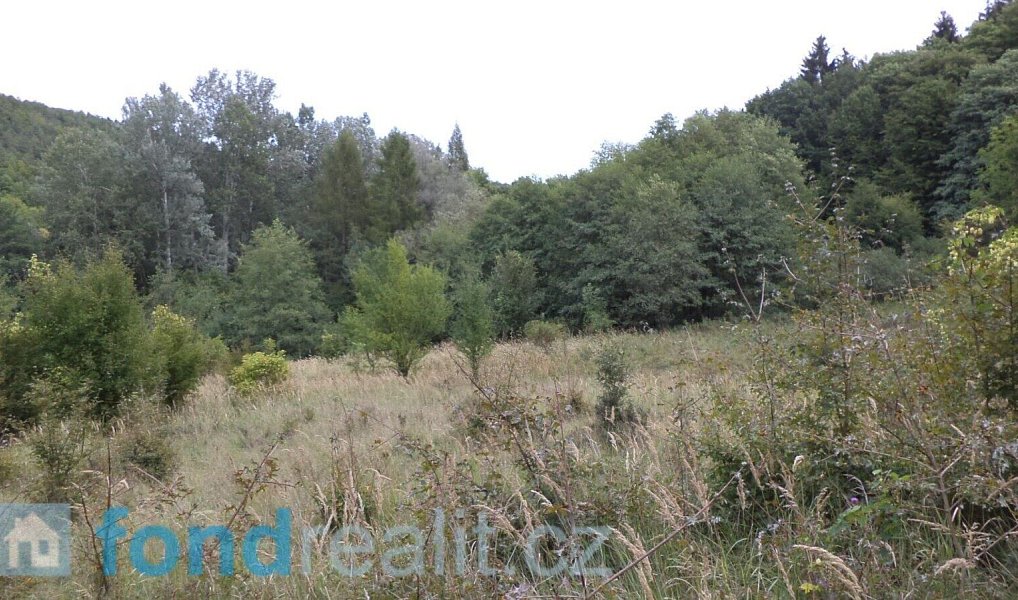 Prodej pozemku 19 641 m², Traplice – náhled fotky 8