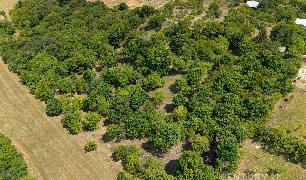 Prodej stavebního pozemku 7 076 m², Koryčany – náhled fotky 17