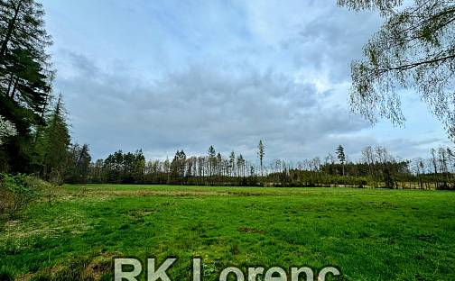 Prodej louky 5 265 m², Radostín nad Oslavou, okres Žďár nad Sázavou