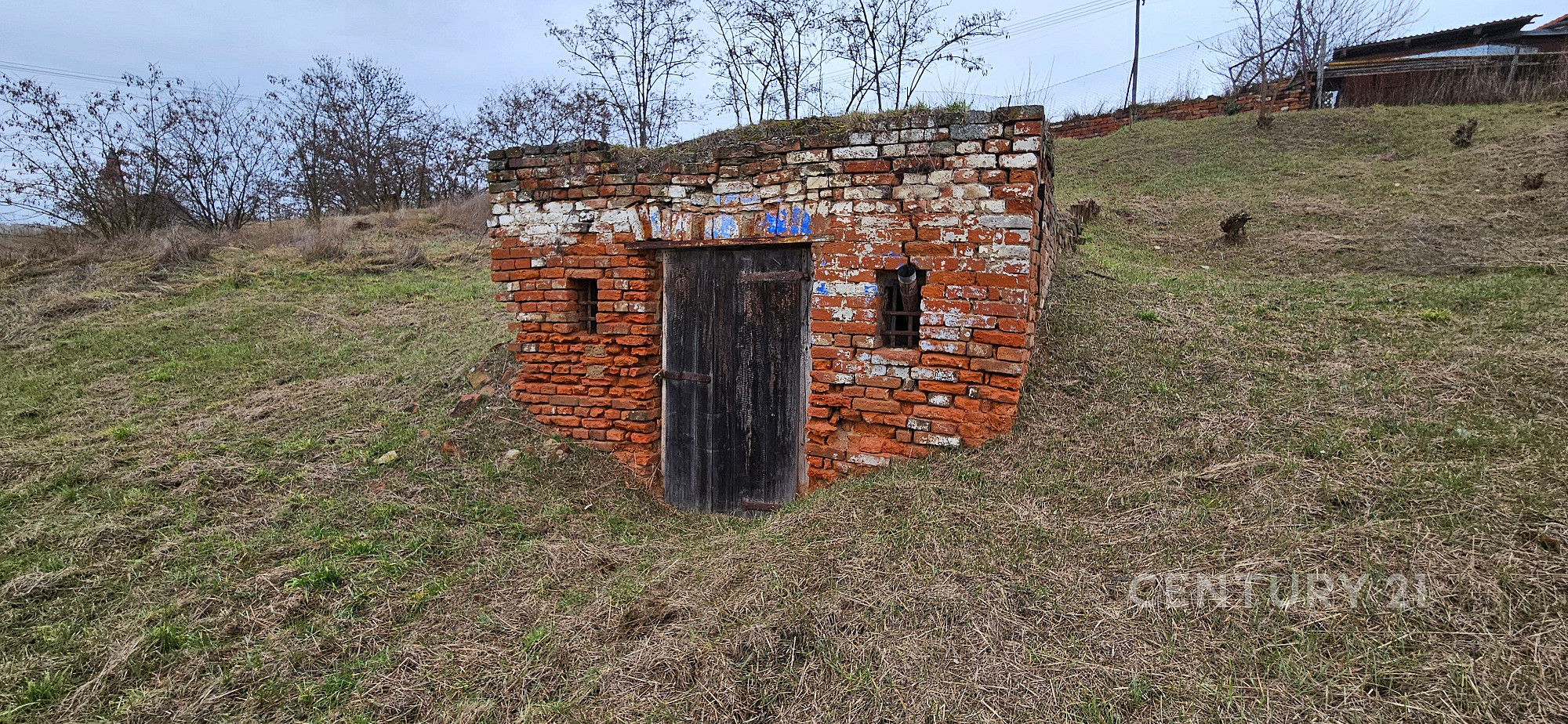 Fotka 10 z 11