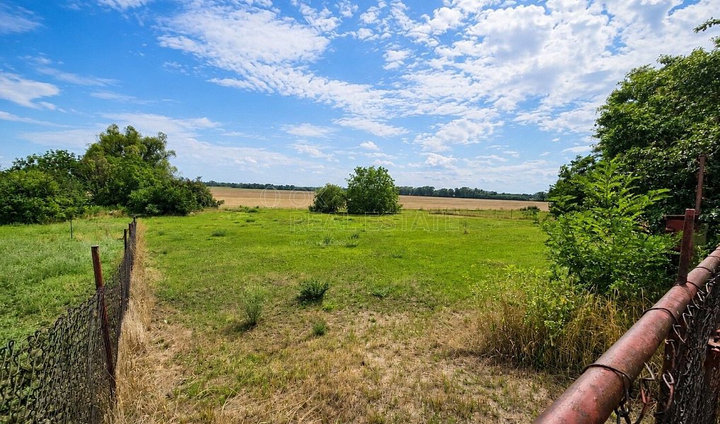 Prodej stavebního pozemku 4 308 m², Dyjákovice – náhled fotky 3