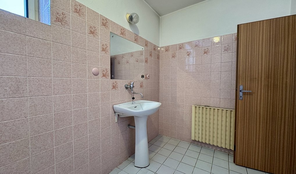 Prodej domu 239 m² s pozemkem 1 210 m², Ženklava – náhled fotky 14