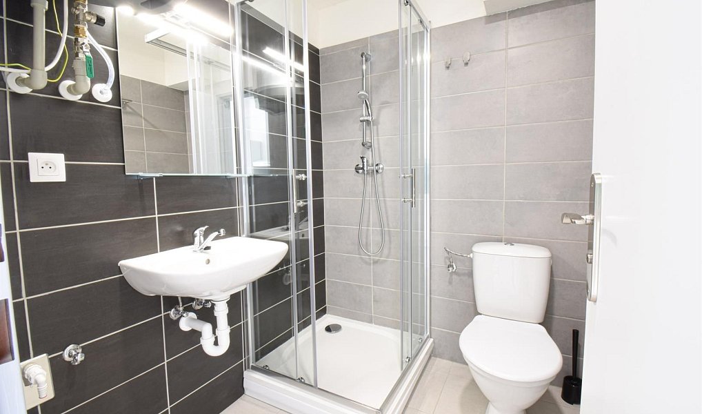 Pronájem bytu 1+kk 17 m², Brno – náhled fotky 5