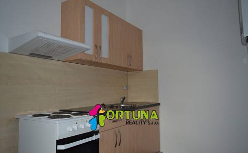 Pronájem bytu 1+1 42 m², Mánesova, České Budějovice - České Budějovice 6