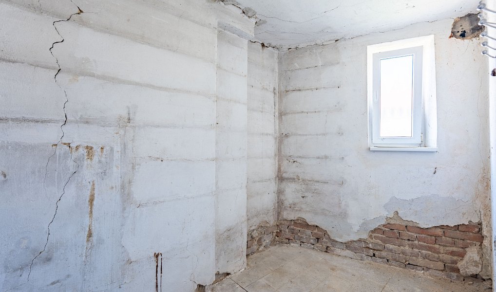 Prodej domu 91 m² s pozemkem 809 m², Biskupice – náhled fotky 29