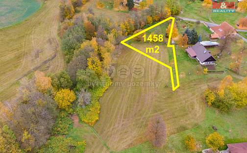 Prodej louky 1 458 m², Liberk, okres Rychnov nad Kněžnou