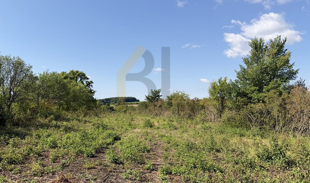 Prodej zahrady 3 867 m², Strážnice – náhled fotky 7