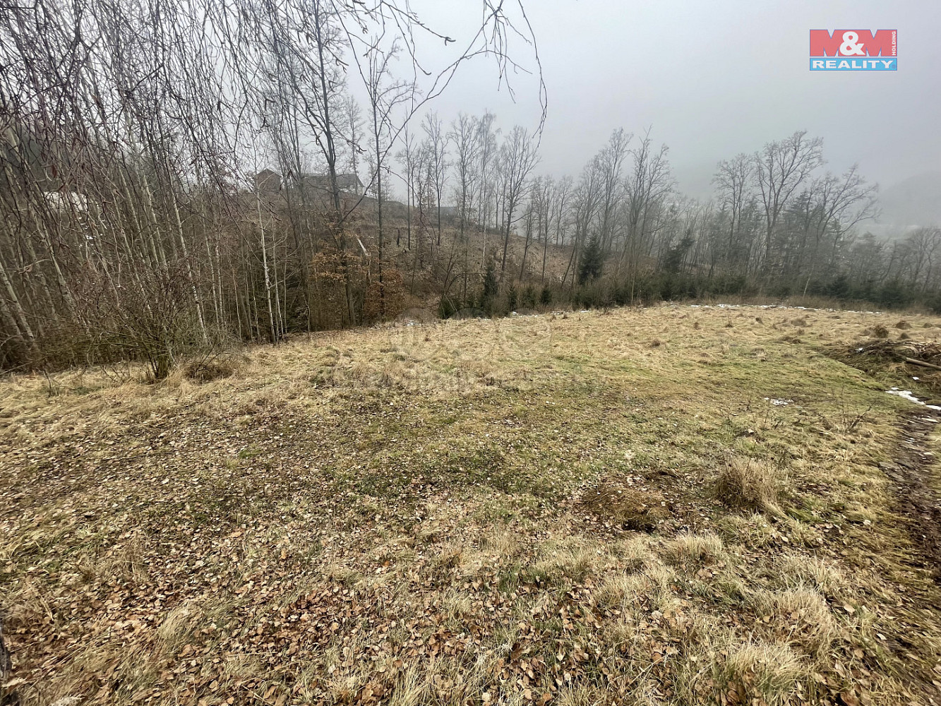 Prodej lesa 33 054 m² — photo 4