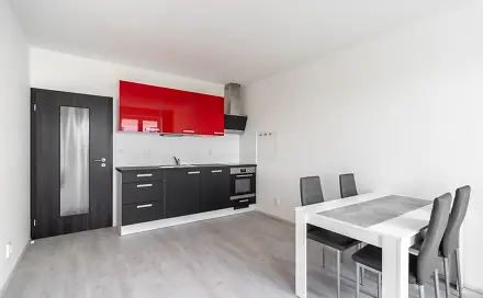 Pronájem bytu 2+kk 51 m², Rybářská, Plzeň - Jižní Předměstí