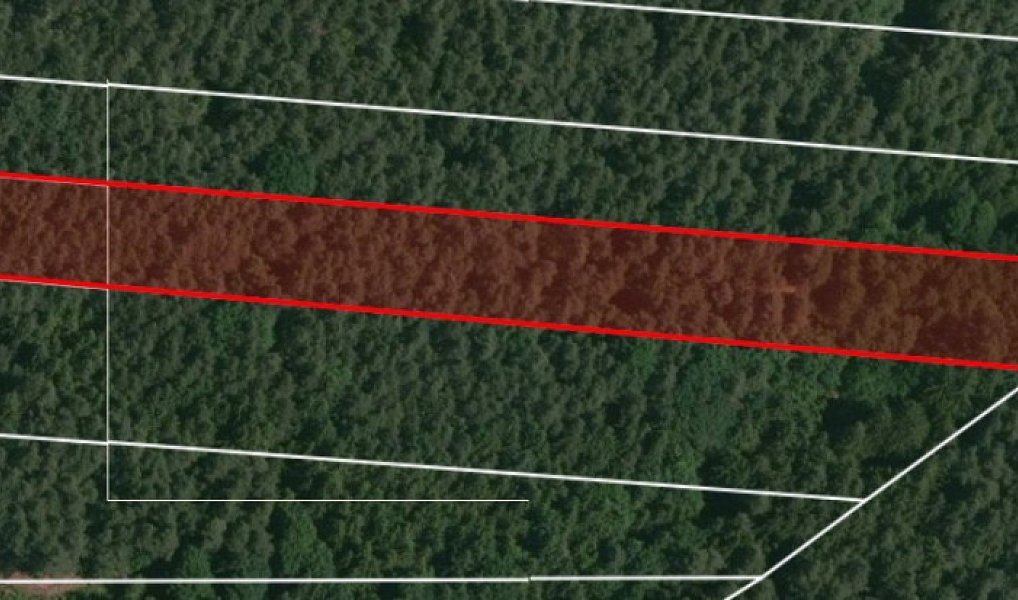 Prodej lesa 32 765 m², Libín – náhled fotky 4