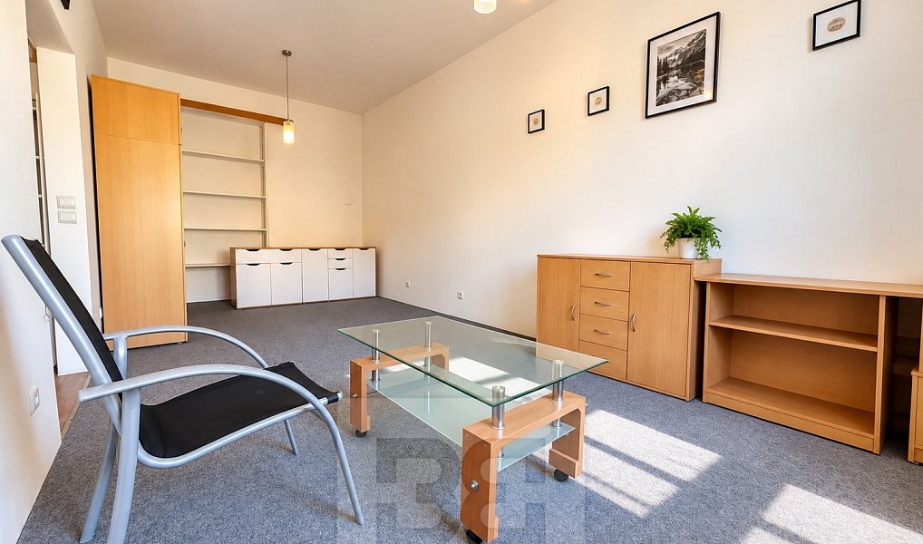 Pronájem bytu 1+1 38 m², Praha – náhled fotky 4