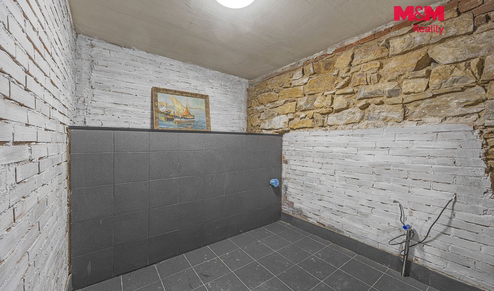 Prodej komerčního objektu (jiného typu) 110 m², Praha – náhled fotky 11