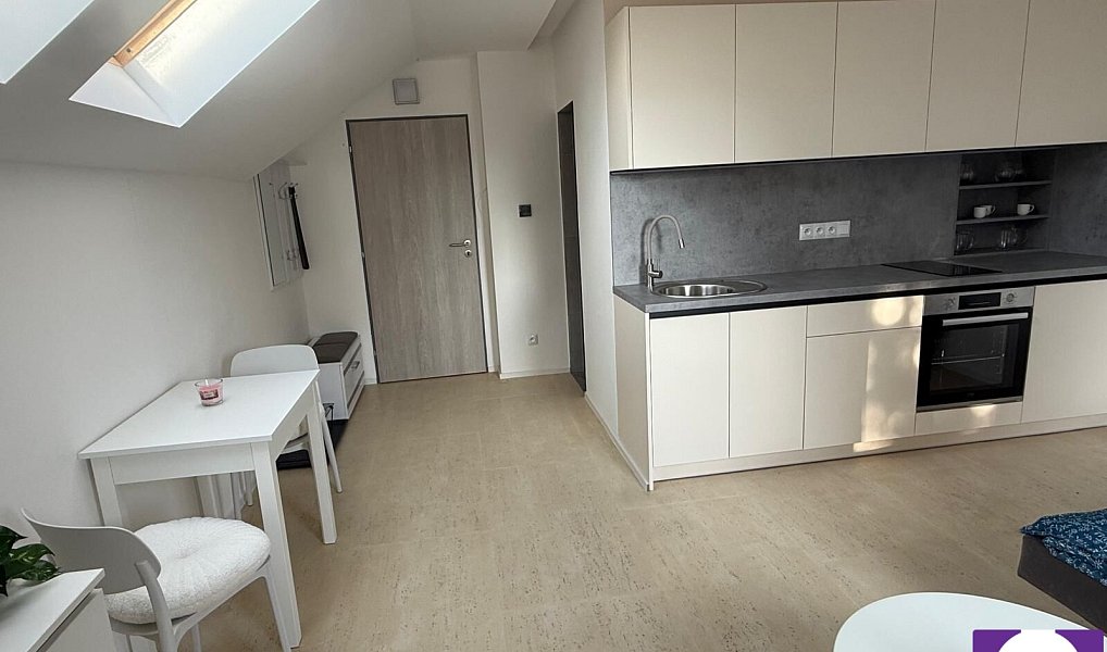 Prodej bytu 1+kk 25 m², Horní Planá – náhled fotky 7