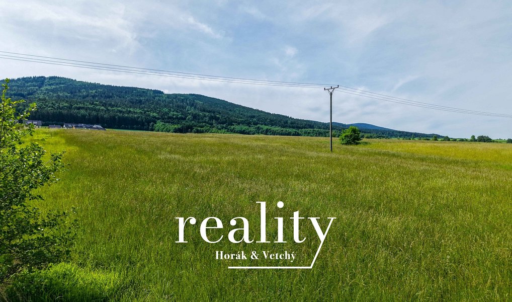 Prodej stavebního pozemku 3 948 m², Červená Voda – náhled fotky 7
