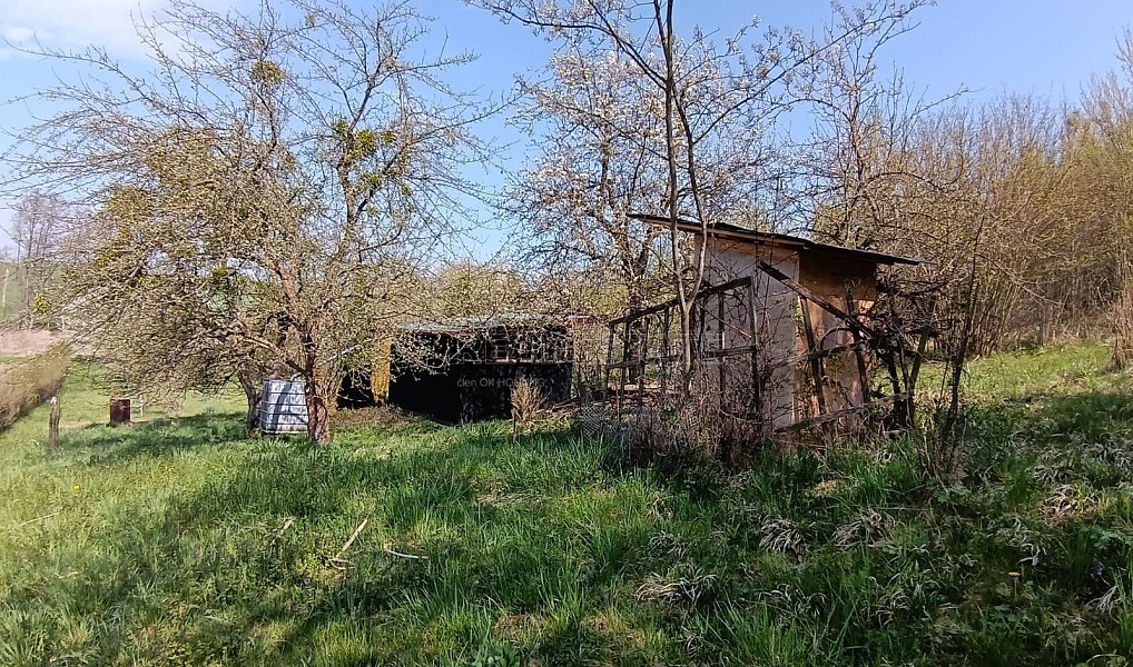 Prodej zahrady 1 872 m², Soběchleby – náhled fotky 21