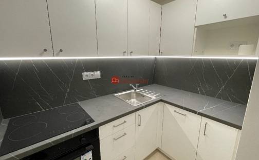 Pronájem bytu 2+1 39 m², Antonína Sochora, Teplice - Trnovany