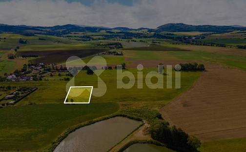 Prodej stavebního pozemku 2 990 m², Nýrsko, okres Klatovy