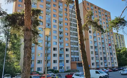 Pronájem bytu 1+1 44 m²