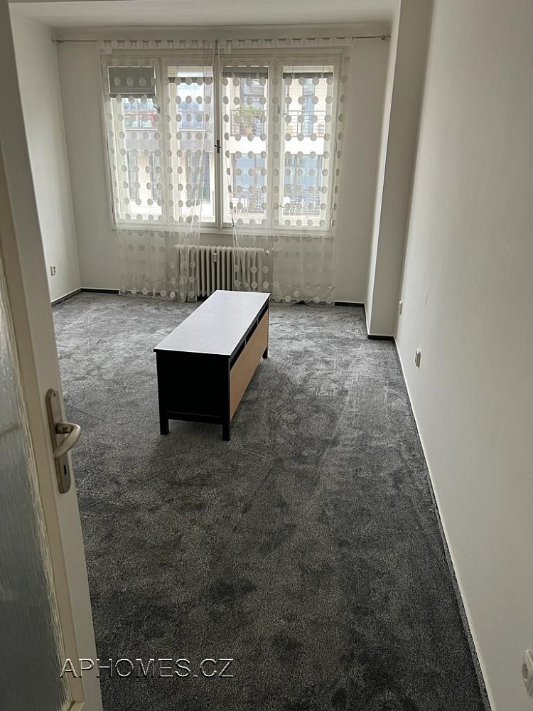 Pronájem bytu 1+1 46 m² – fotografie 2