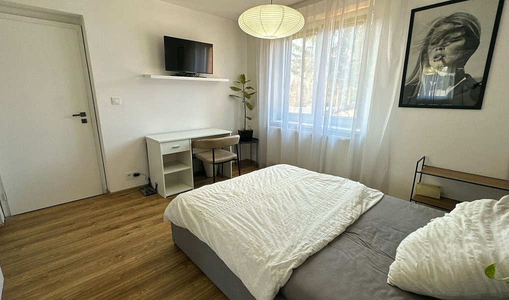 Prodej domu 300 m² s pozemkem 154 m², Tachov – náhled fotky 37