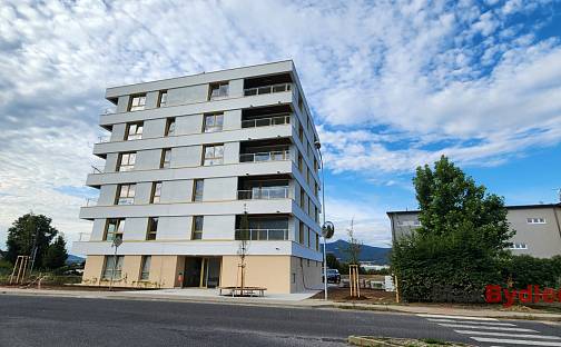 Prodej bytu 1+kk 38 m², Polní, Liberec - Liberec XII-Staré Pavlovice