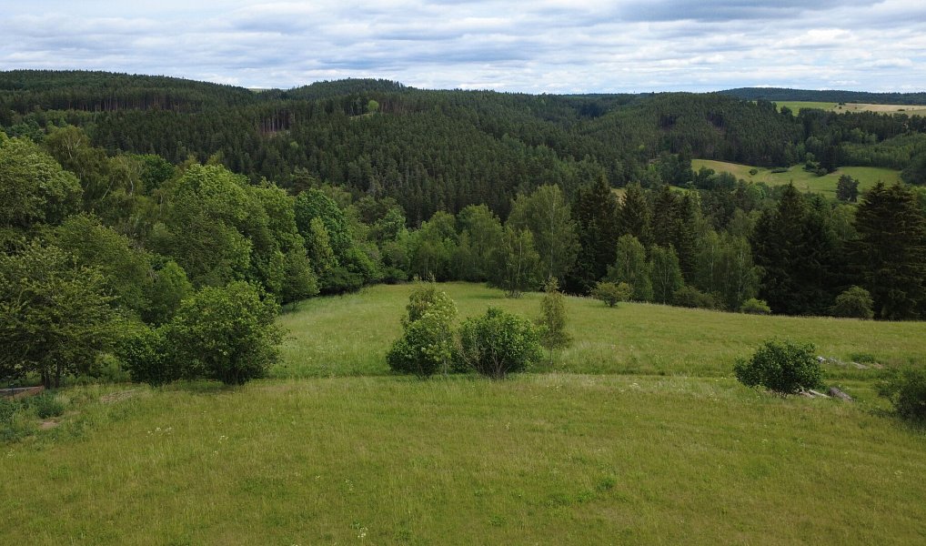 Prodej stavebního pozemku 2 215 m², Planá – náhled fotky 12