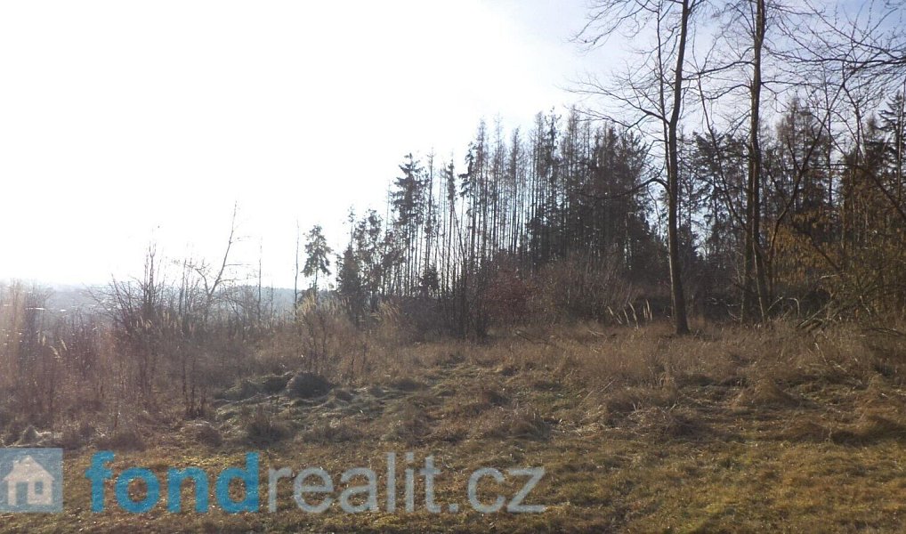 Prodej pozemku 1 595 m², Tábor – náhled fotky 4