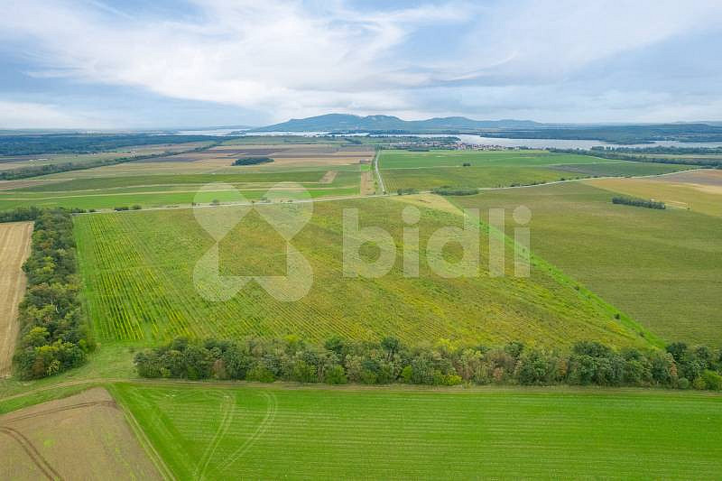 Prodej pole 232 138 m² – fotografie 4