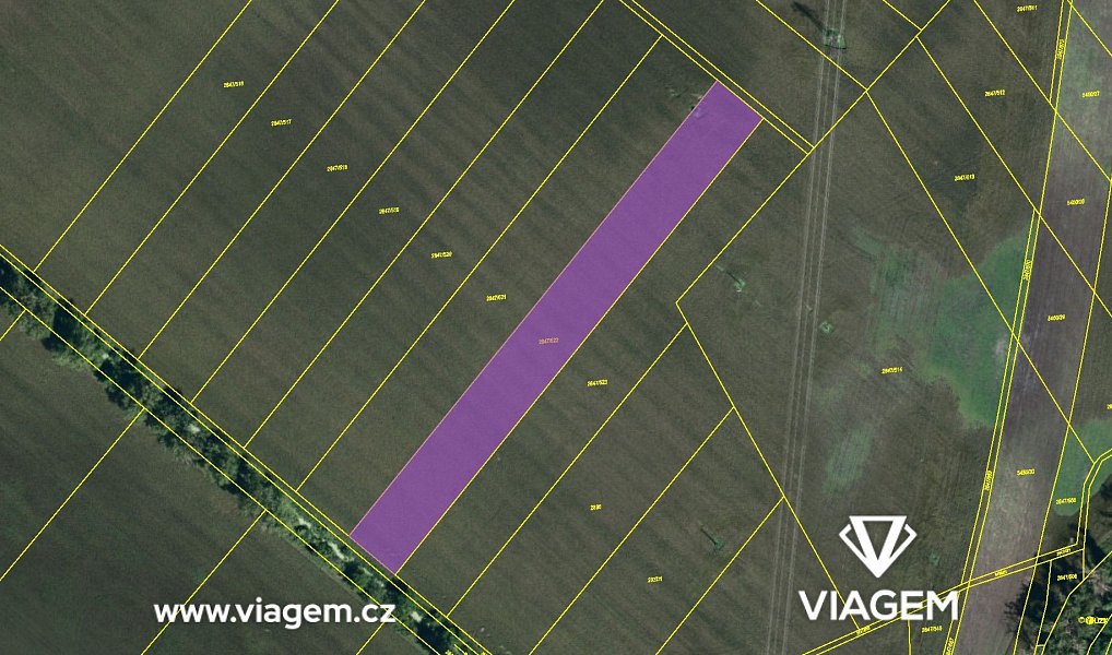 Prodej pole 1 507 m², Břeclav – náhled fotky 4