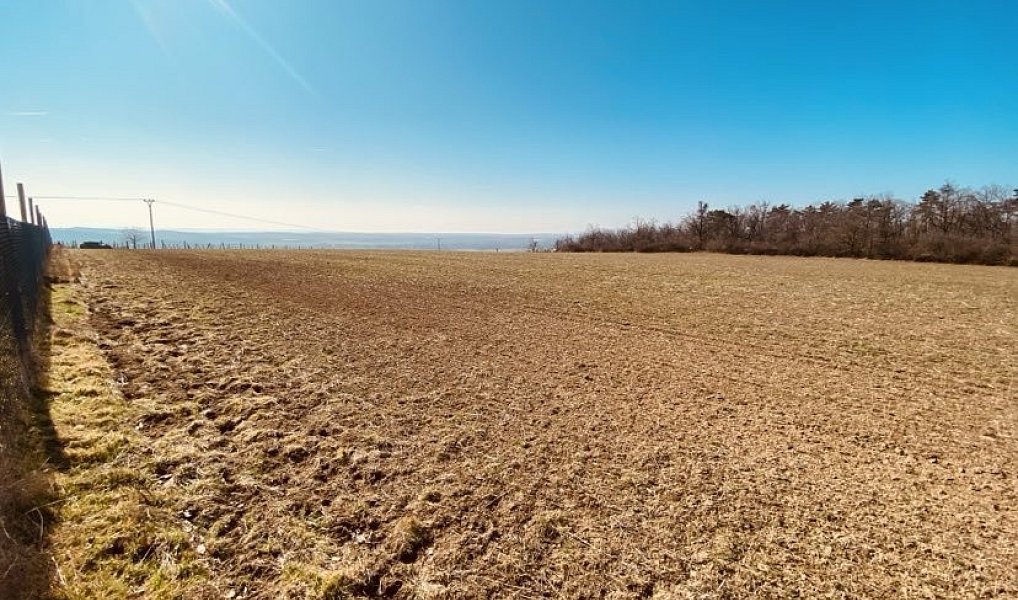 Prodej zahrady 7 000 m², Dobšice – náhled fotky 3