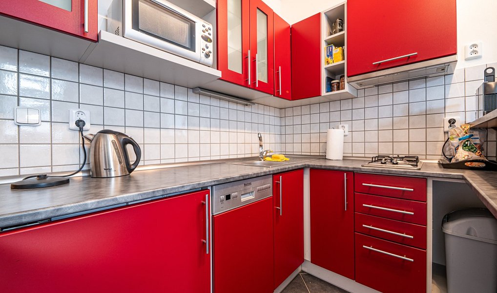 Prodej domu 300 m² s pozemkem 870 m², Liberec – náhled fotky 9