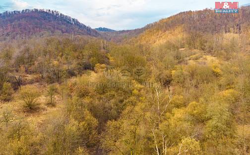 Prodej pozemku 8 537 m², Ústí nad Labem - Mojžíř