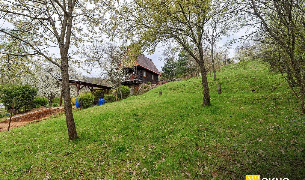 Prodej zahrady 1 459 m², Střelice – náhled fotky 9