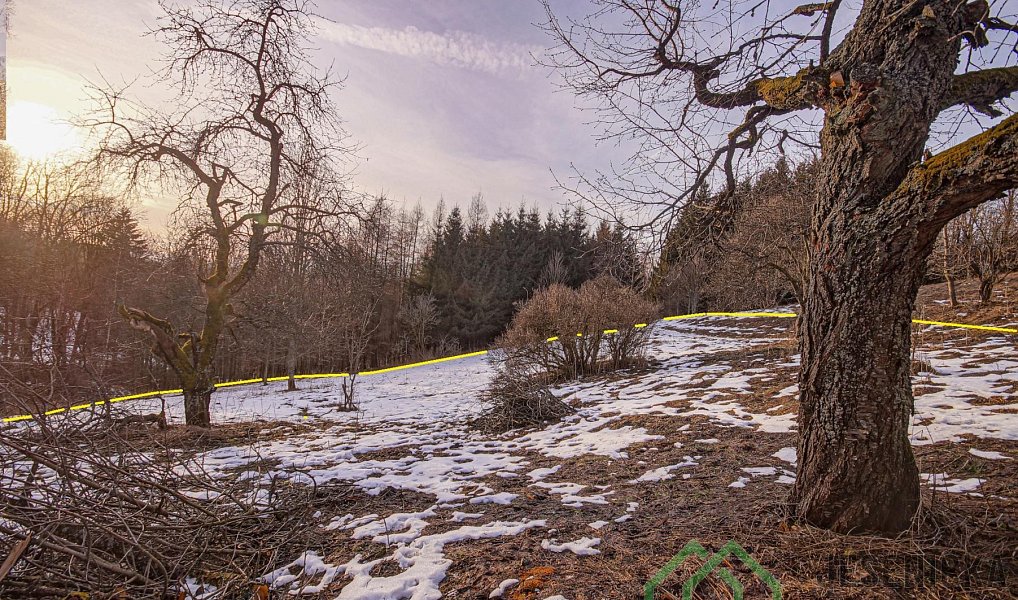 Prodej louky 2 772 m², Branná – náhled fotky 11