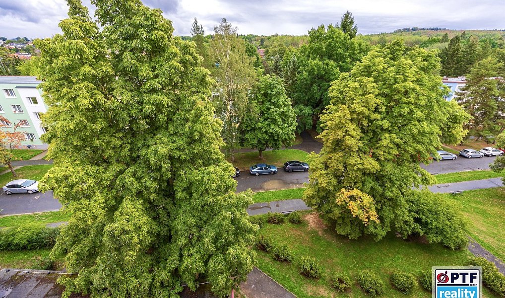 Prodej bytu 3+1 63 m², Domažlice – náhled fotky 3
