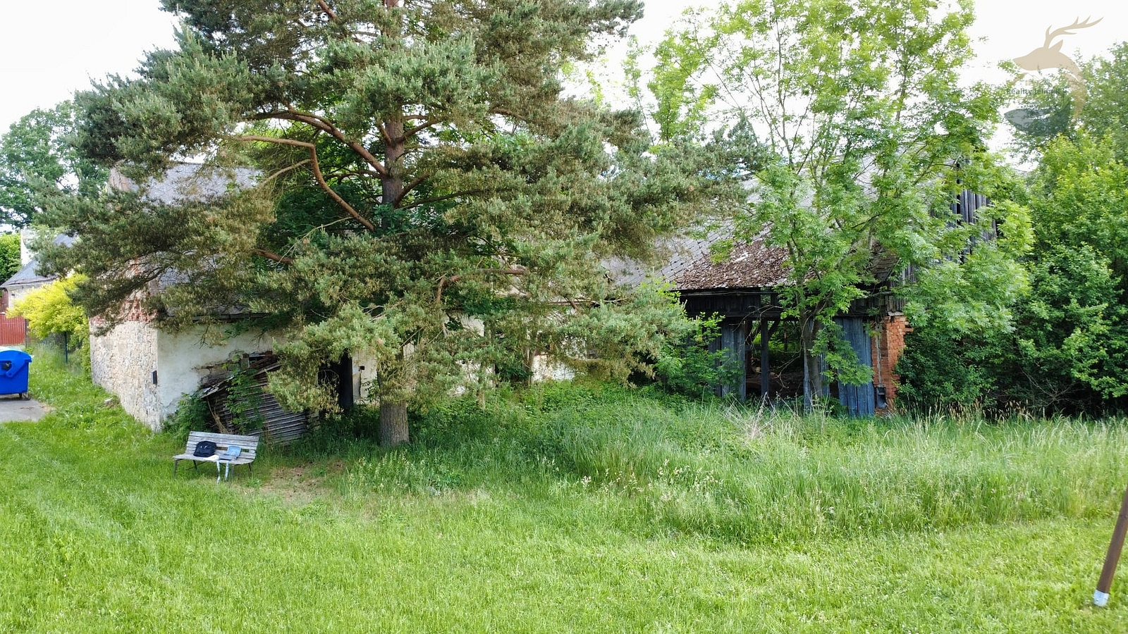 Fotka 10 z 15
