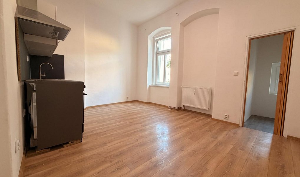 Pronájem bytu 1+kk 30 m², Ústí nad Labem – náhled fotky 6