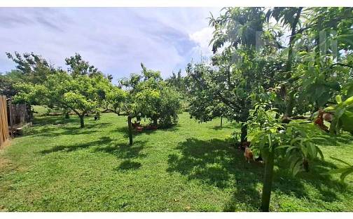 Prodej stavebního pozemku 1 313 m², Čejkovice, okres Znojmo