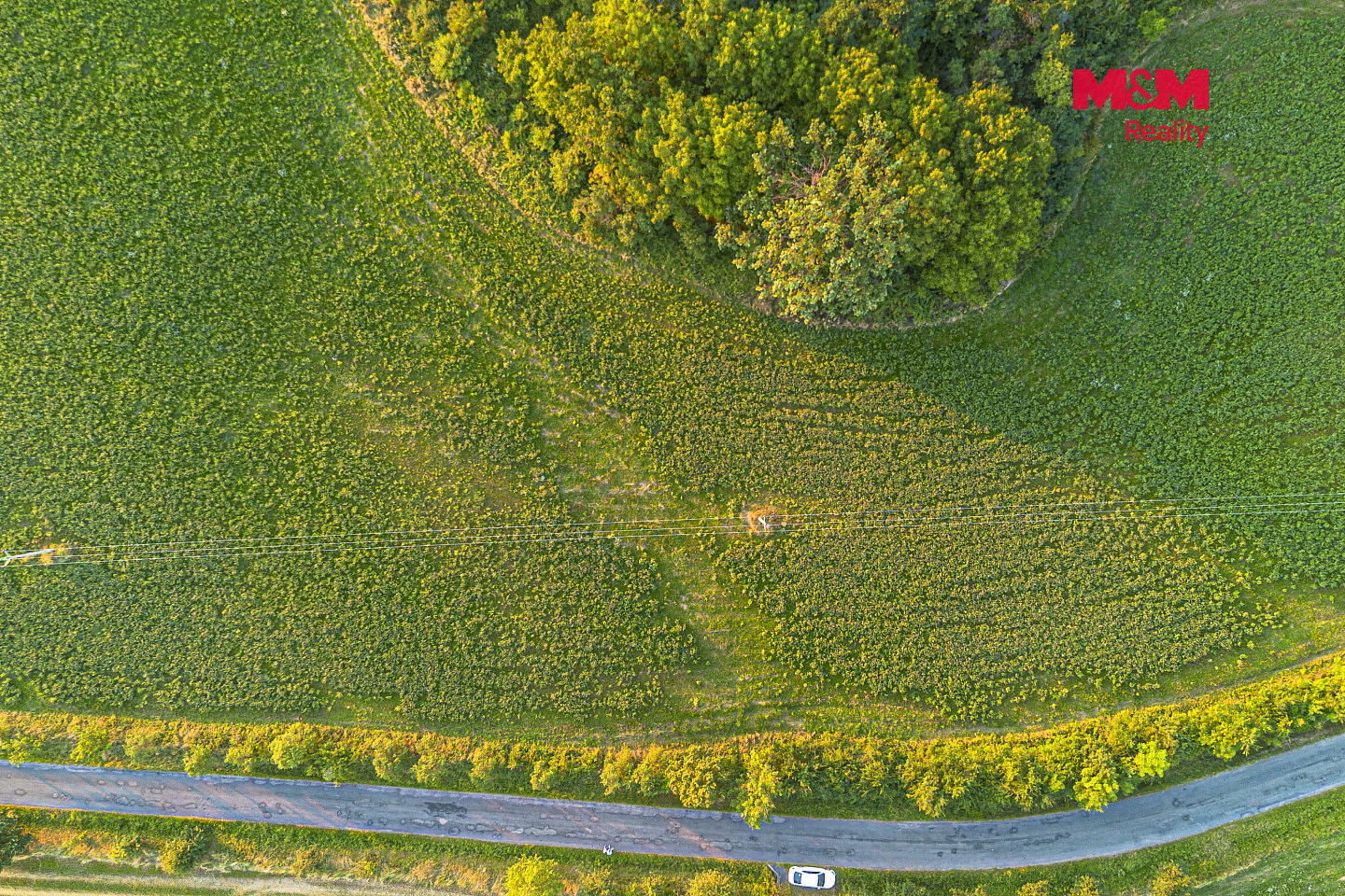 Prodej pole 10 056 m² – fotografie 5