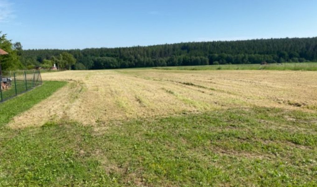 Prodej stavebního pozemku 8 669 m², Zbizuby – náhled fotky 7