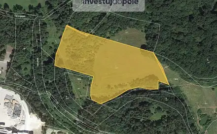 Prodej louky 6 450 m², Nová Role - Jimlíkov, okres Karlovy Vary