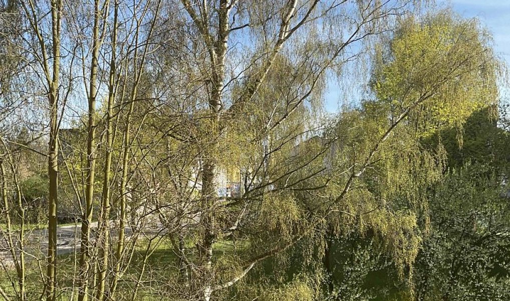 Prodej bytu 3+1 70 m², Hronov – náhled fotky 24
