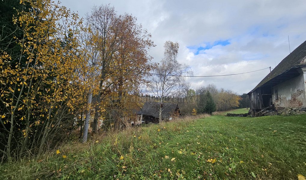 Prodej louky 1 636 m², Hanušovice – náhled fotky 4