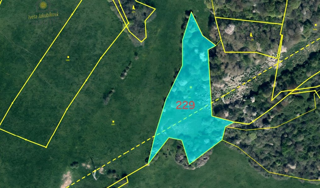 Prodej pozemku 26 240 m², Kvítkov – náhled fotky 3