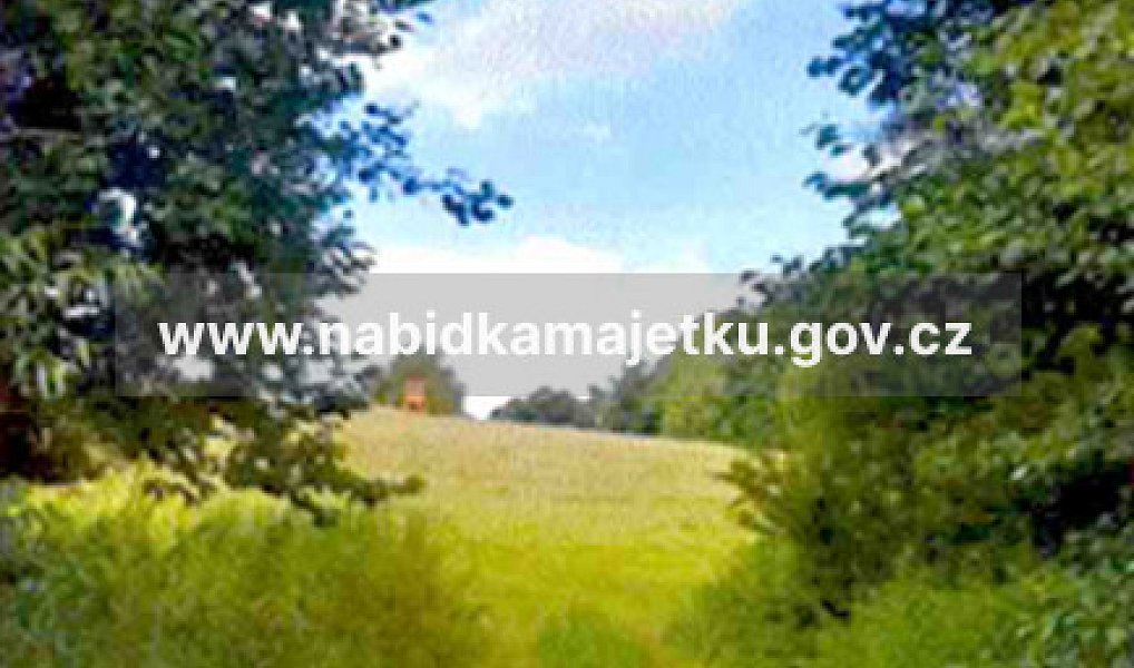 Prodej pozemku 2 564 m², Ostrov u Bezdružic – náhled fotky 5