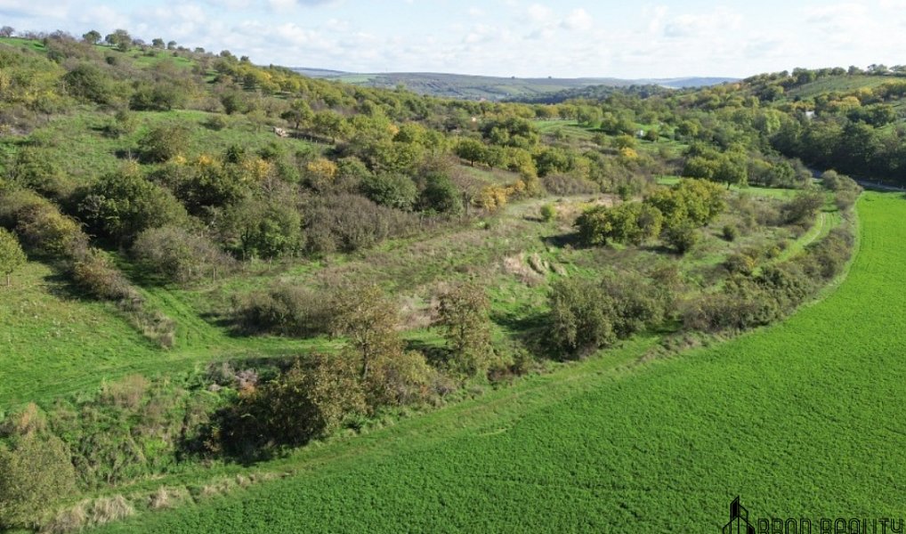 Prodej zahrady 6 601 m², Hrušovany u Brna – náhled fotky 13
