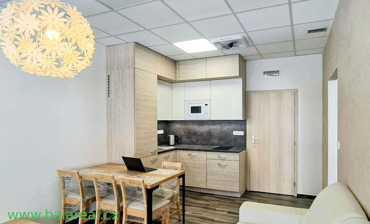 Pronájem bytu 2+kk 46 m² – fotografie 4