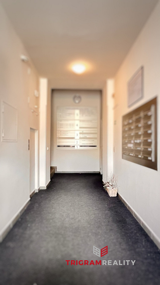 Pronájem kanceláře 25 m² — photo 4