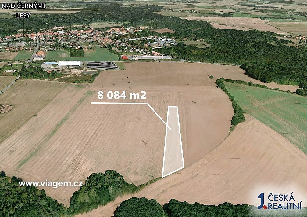 Prodej pole 2 694 m² – fotografie 2